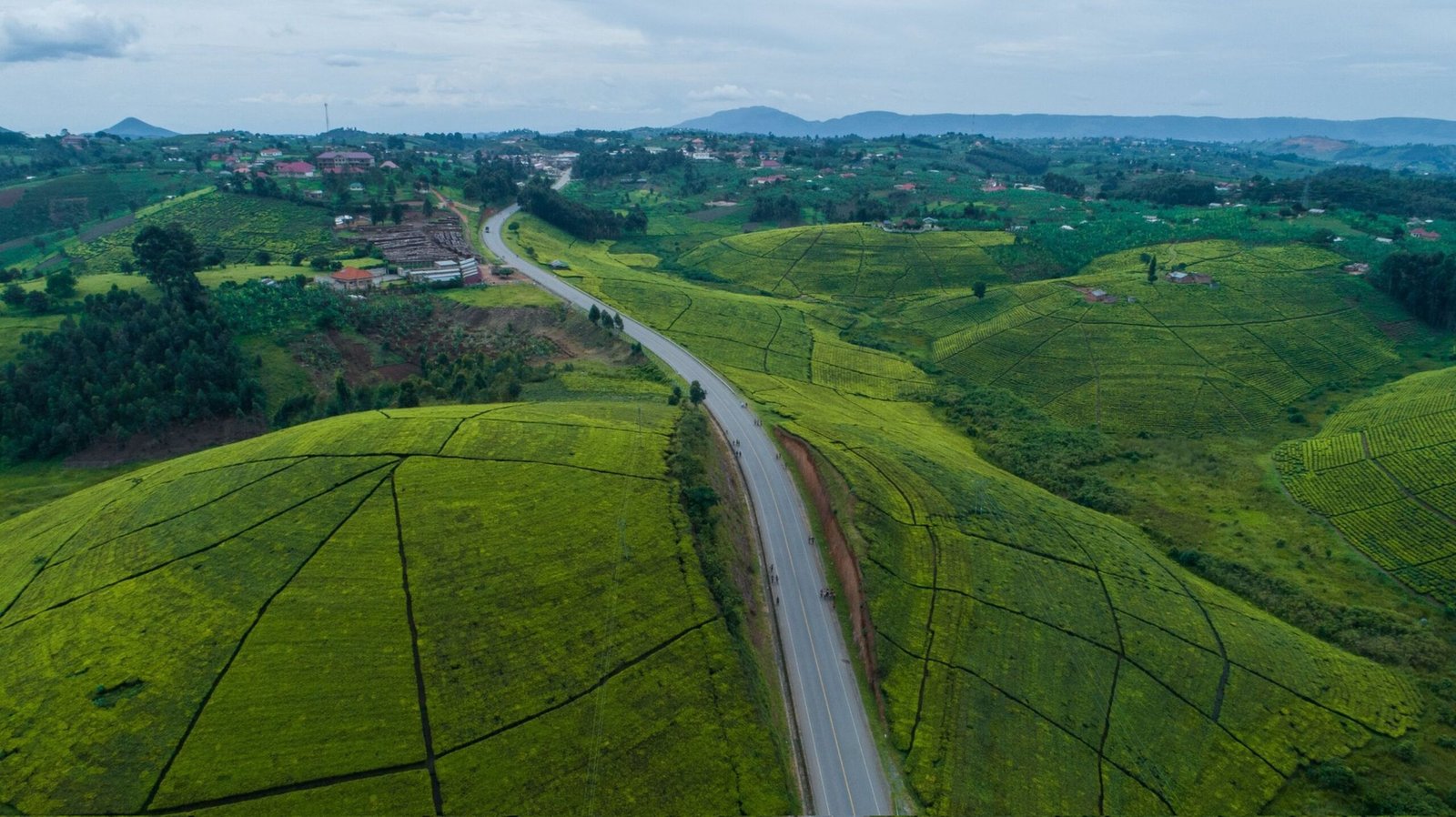 A stunning aerial view of green hills and a winding road in Uganda's countryside.